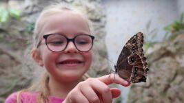 Papilonia Liberec (67)